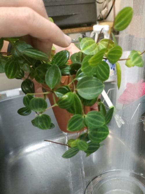 底穴から水を抜く