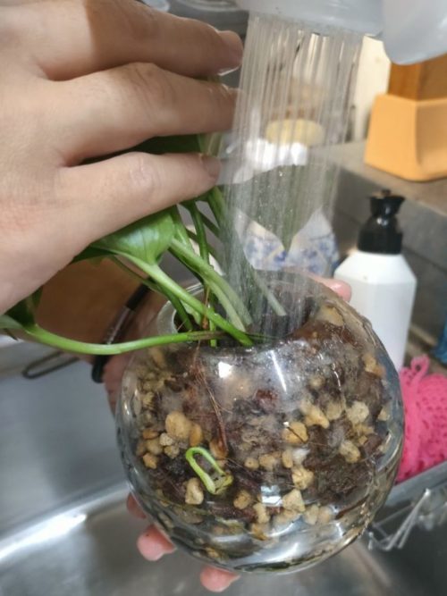 溢れるくらいの水を。